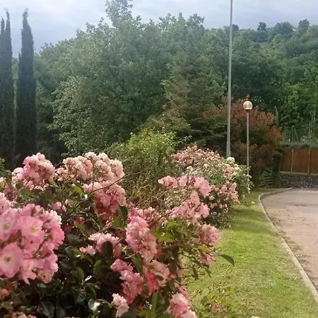Apartment 34- Casa Di Chiaretta In Val D'orcia, Sport E Cultura *